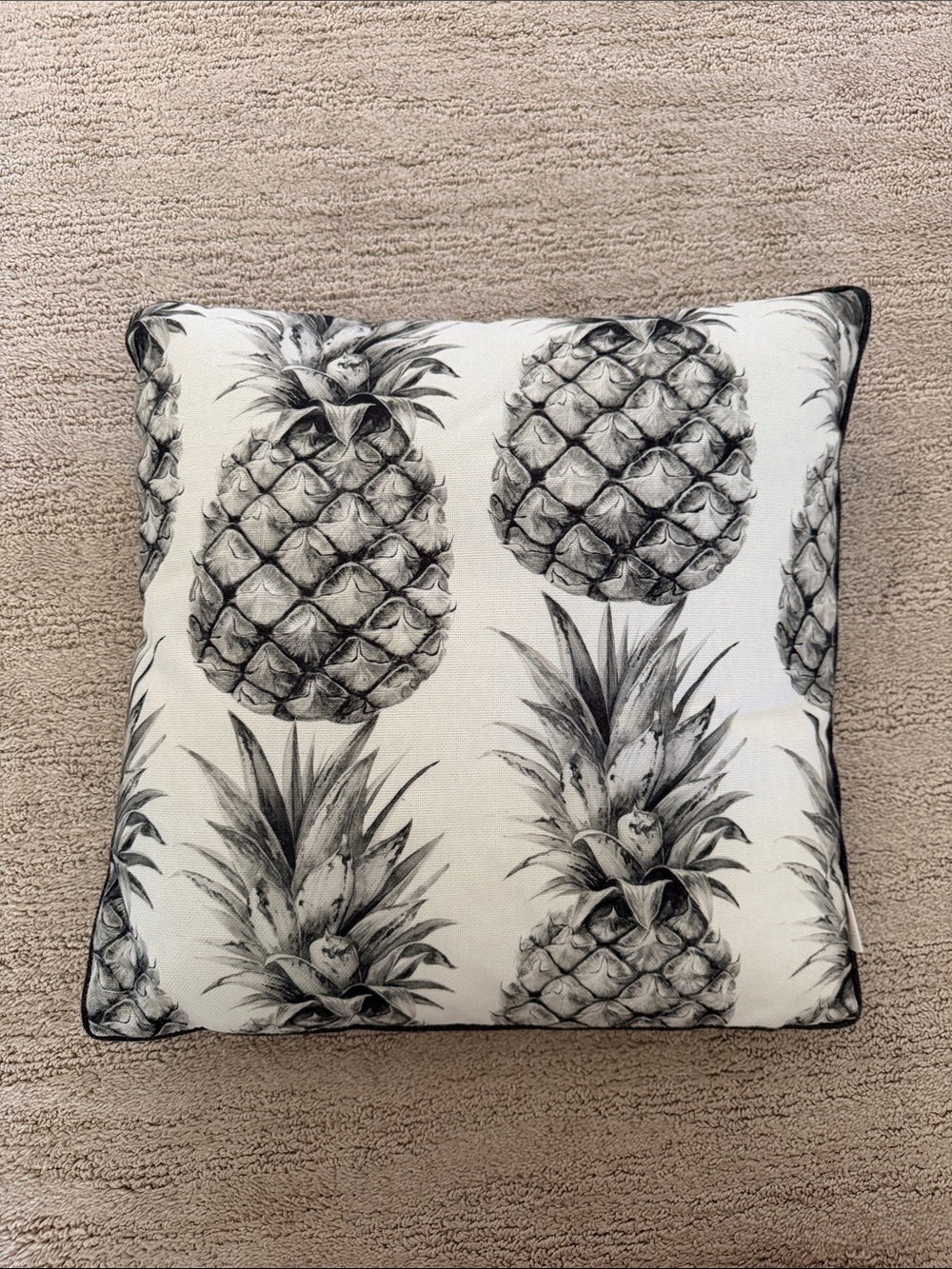 Black and White Pineapple Accent Pillow - Brand Unspecified